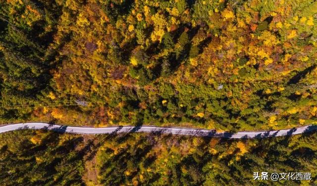 太！美！了！邂逅被360°雪山包围的浪漫！人这辈子总要去一次！