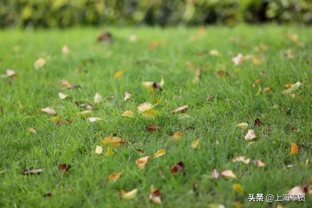 谁懂啊！这些打卡地的秋，连落叶都在教你拍照→