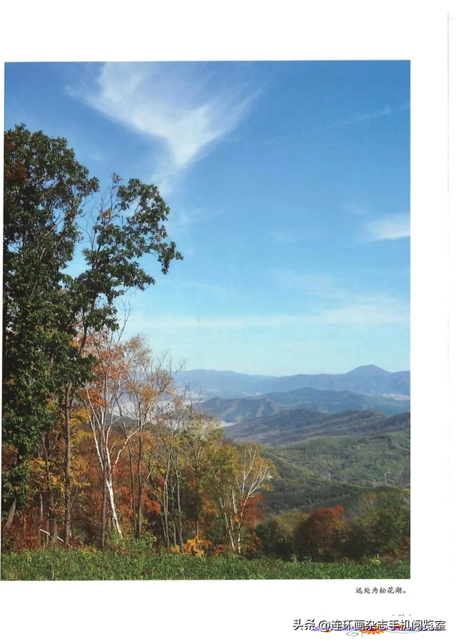 《青山草木》页选03