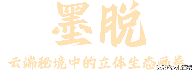 西藏2地入选2025中国最美县域榜单！为何是它们？