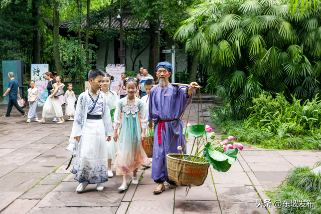 东坡家的荷花开了！眉山“荷你有约”点燃夏日文旅热