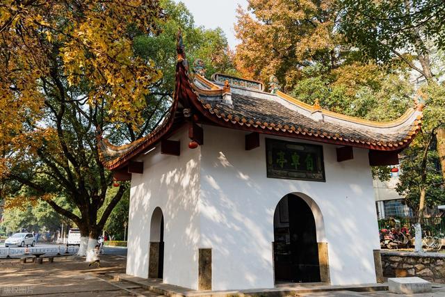 接下来，长沙的天花板级秋景在这里！一年中的颜值巅峰期，美哭！