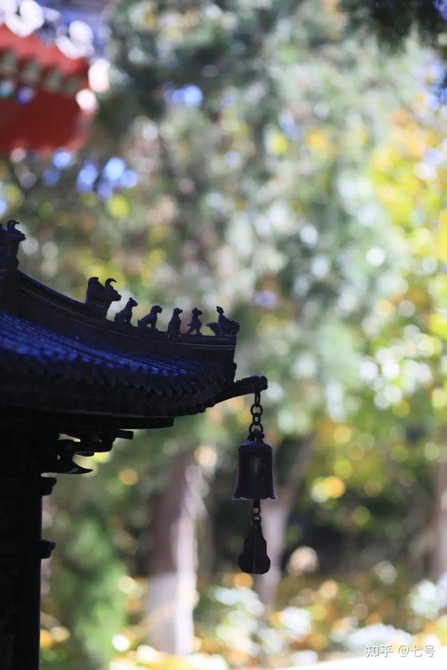 在八大处，寻到了北京最美的秋