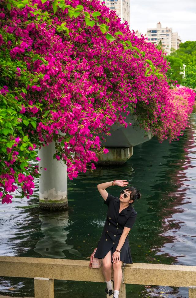 厦门又一网红出片点位，上新！美成偶像剧取景地→