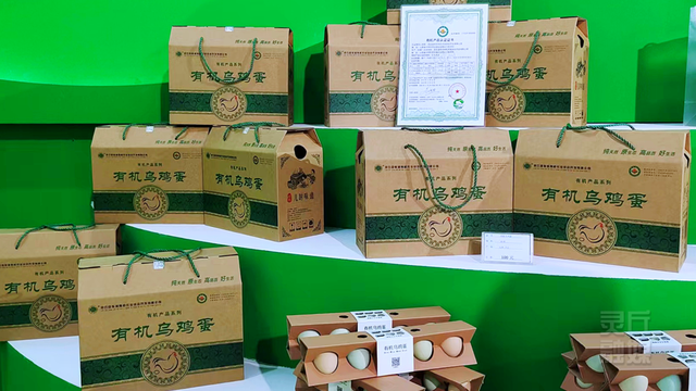 灵丘：红色热血沃热土 绿色发展焕新颜