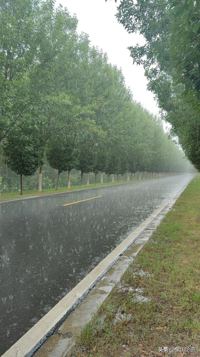 8月6日下午，开封新区水稻乡南北堤村附近大雨滂沱