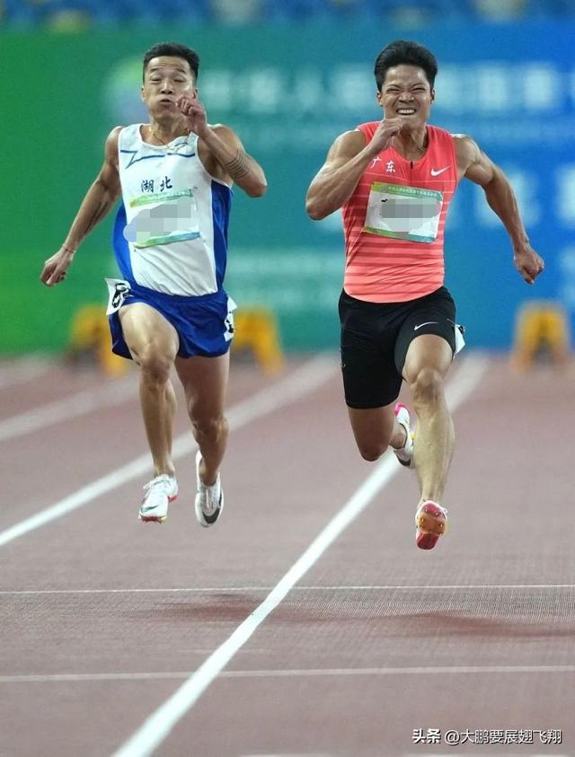 《赠予自己：在逆风中，做那只翱翔的大鹏鸟》