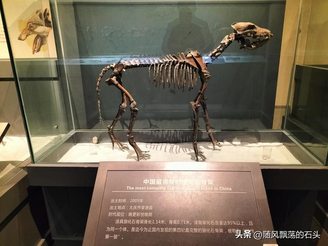 没想到大庆博物馆还有中国之最