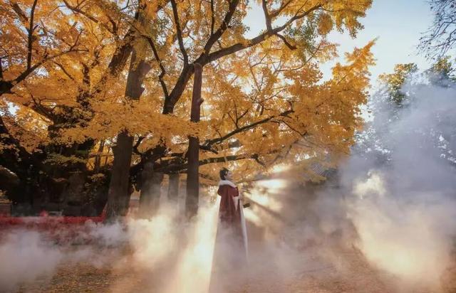 超全！满满仪式感！日照跨年活动来啦！