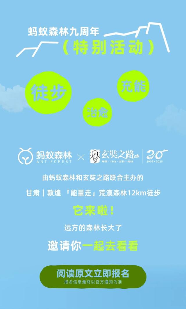在？蚂蚁森林9周年，一起去敦煌走走
