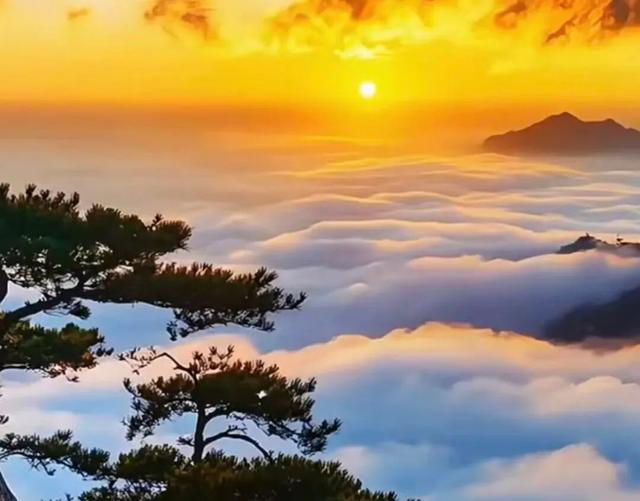 黄山云海:液态的苍穹