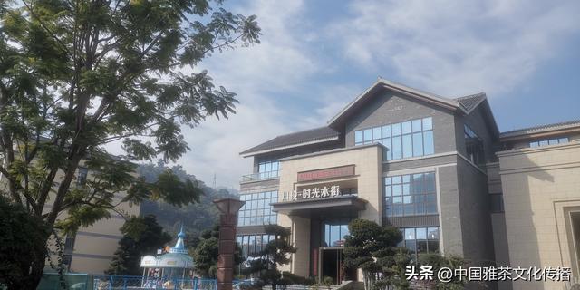 礼赞三葉花•酒店