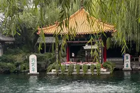 泉涌菊香，在这个深秋一起打卡趵突泉图片