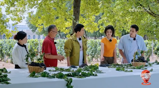 CCTV-4新片！目的地→银川🧳