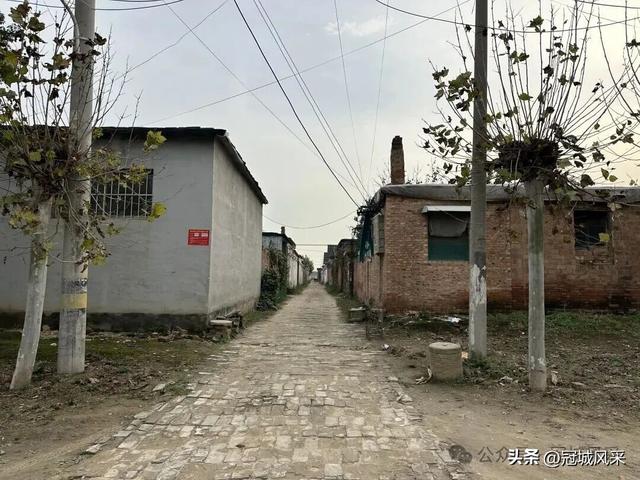 冠县乡韵·桑阿镇轧庄