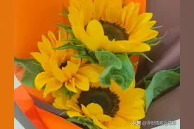 唐山那么多高中，去公立还是去私立？图片