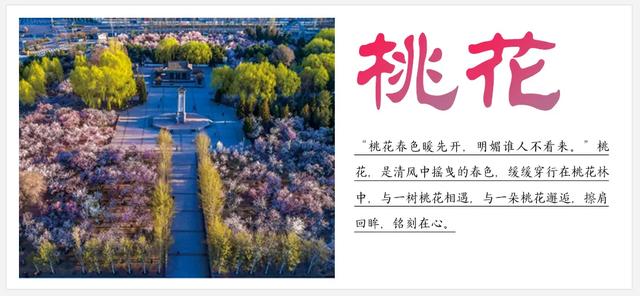 听劝！来呼和浩特赏花吧，四季可约~