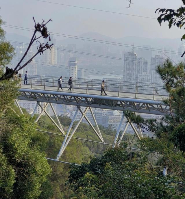 厦门山海健康步道云海线七座特色节点桥，形成一桥一景独特景观