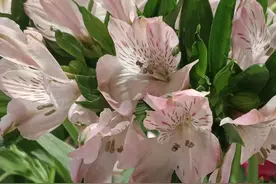 第二次根管治疗，势如破竹，很快就把牙齿给补好了，只是程序复杂图片