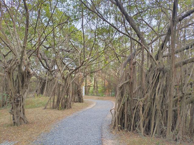 2026温暖广东之旅：漫游珠海、新会、江门
