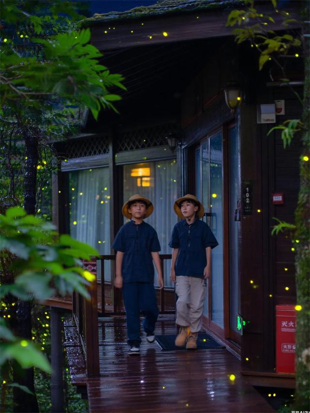 普洱太阳河森林公园联手携程景点玩乐共同打造——云南虫谷森林体验馆震撼上新！