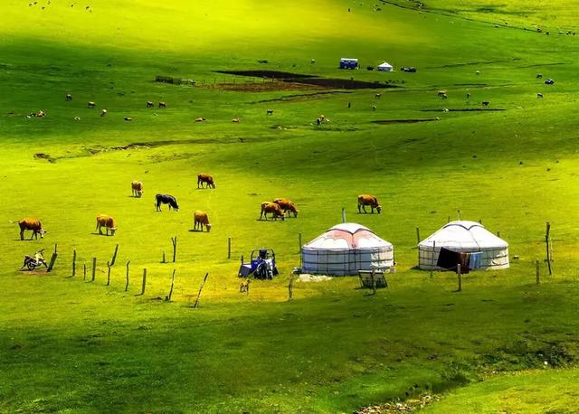 燕南赵北‖光影草原