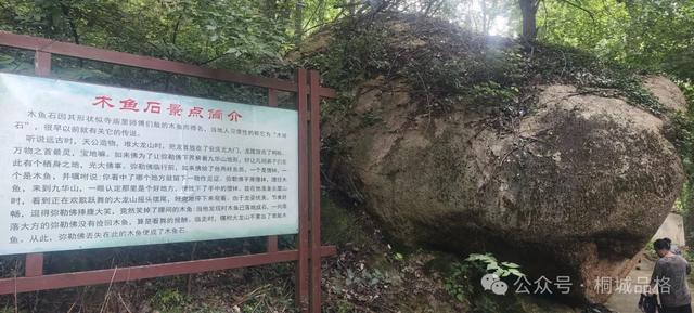 乡土桐城 | 龙池寺与龙湫