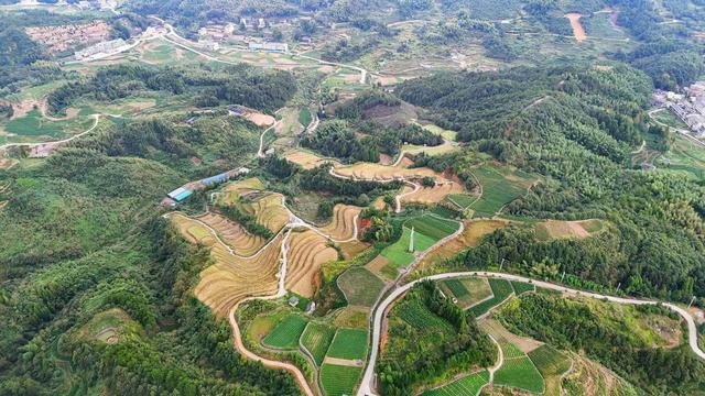 盘点我去过浙江泰顺的五个绝美地，比国外还美，知道的游客却很少