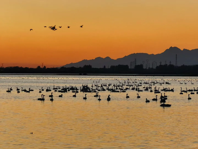 入冬啦！呼和浩特的这几处顶流打卡地必须去眊一眊！