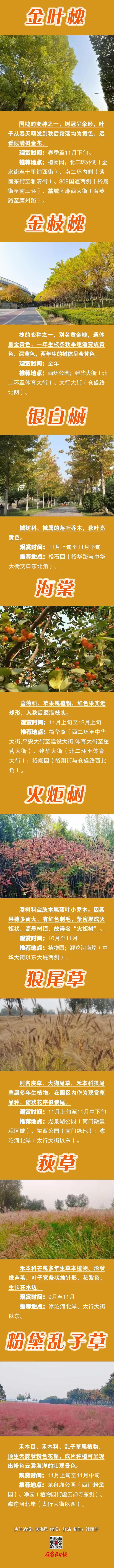 长图 | 赏秋何须远行！石家庄城区最美秋色在这里