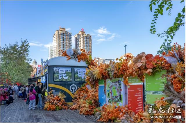 旅居云南·昆明好在（二十七）漂亮街景打卡点，成为游客心头好