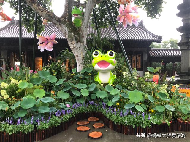 杭州夏日“出淤泥而不染” 的赏荷路线，80%人都不知道！