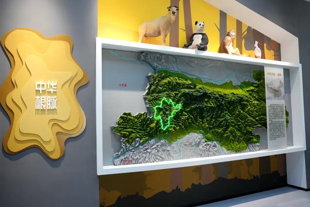 打卡新地标!来汉中这里,开启一场自然之旅~