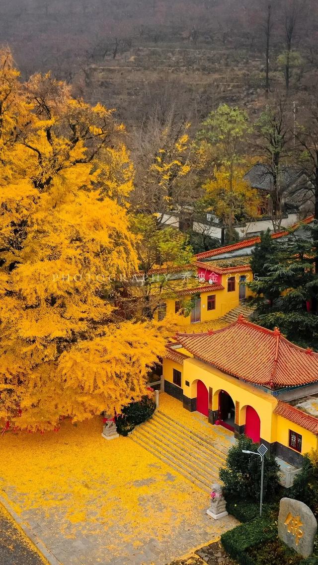 潍坊美景“告急”！这些地方错过等一年！