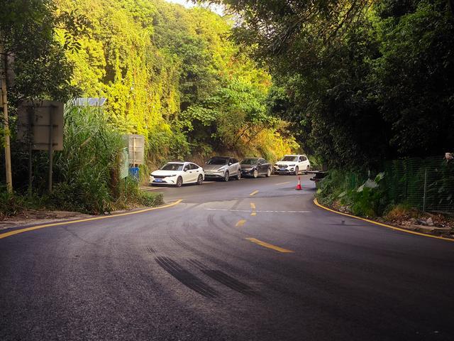 塘朗山郊野公园火车道口与绿平二路段，爬坡酸爽，骑友的天堂