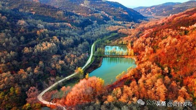 灵台A级景区全攻略，邀您共赴一场冬日康养之约