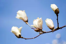 我70岁退休金7500，每月花4000请保姆照顾生活起居，儿子说我糊涂图片
