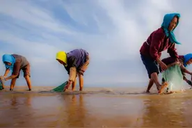 海南渔民绝不外传的赶海圣地！导航搜这三个神秘坐标，遍地海鲜图片