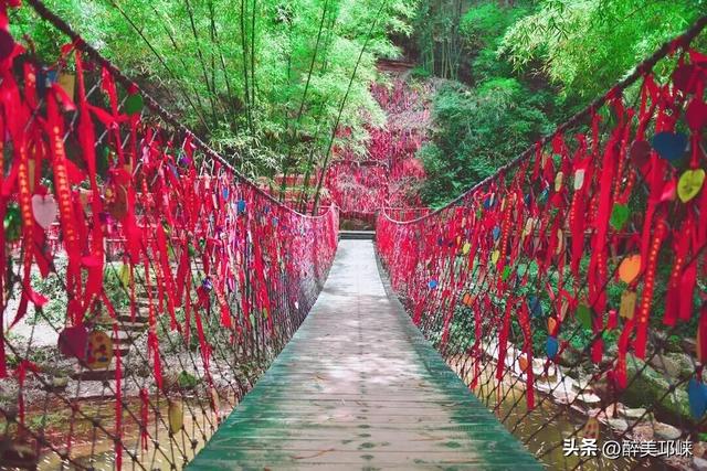 深秋想赴一场“森”系约会？来邛崃就够了！