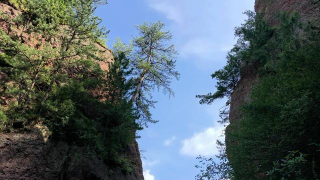 陇上行（二十三）庄浪县云崖寺，名副其实的小麦积山。（8月3日）