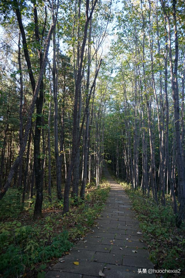 3200公里东北行（D2）——伊春北山公园