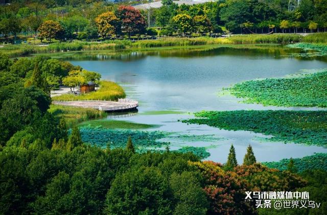 今日义乌丨义乌之秋，太仙啦