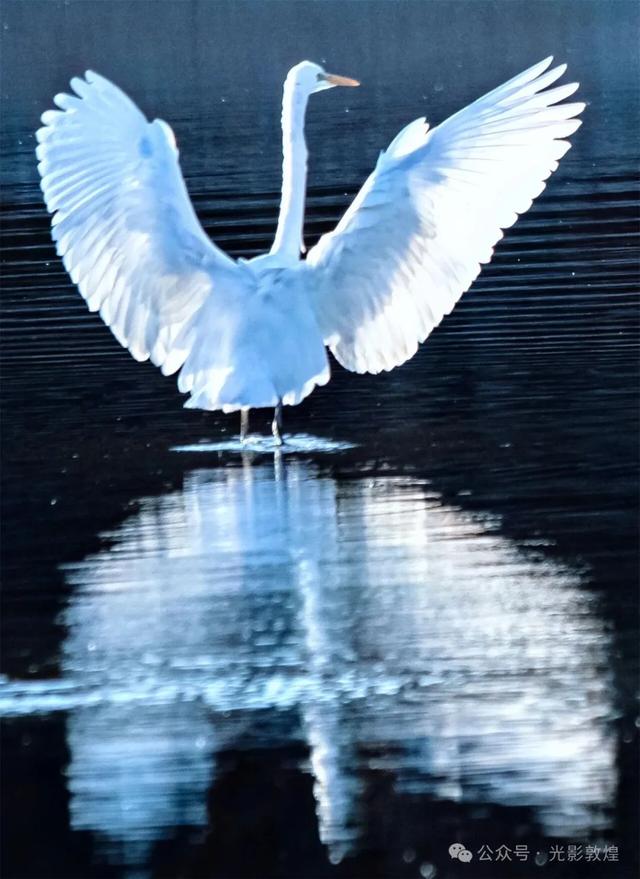 【近距离看敦煌】给党河风情线的秋色来个特写