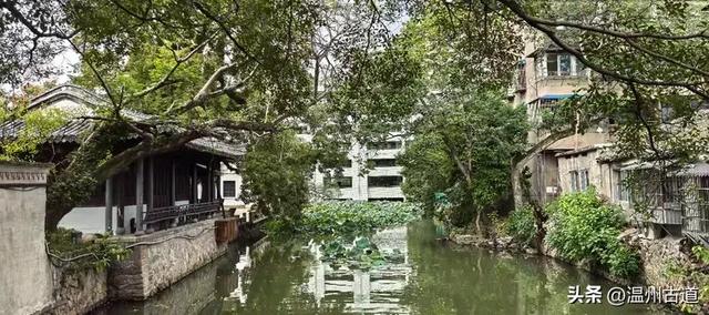 温州市区这条充满历史底蕴的古街道，文化遗迹众多，值得你来逛逛