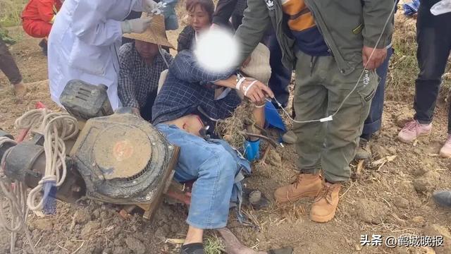 玉米地里传出惨叫！64 岁农妇半截身子被吞，天黑抢收的代价太惨痛！