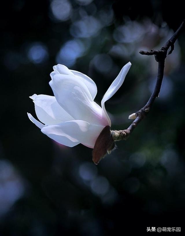 摄影追求清爽感，高手走减法路线，果断舍弃刺眼元素