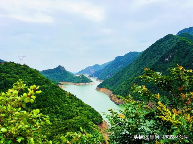 绿野仙踪+山水秘境！快来黑河抓住夏天的尾巴，奔赴一场绿意清凉之约