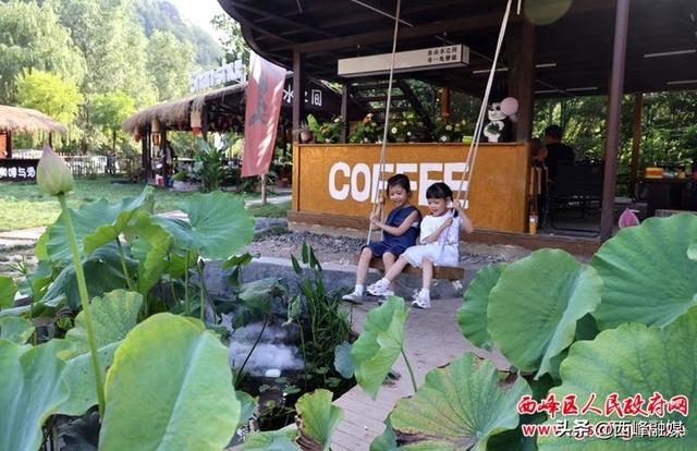 西峰区：高原“凉资源”激活夏日“避暑热”