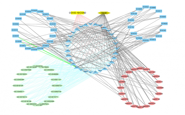 迅疗科技AI赋能-CCAI解决方案：AI技术驱动的智能解决方案与定制化服务