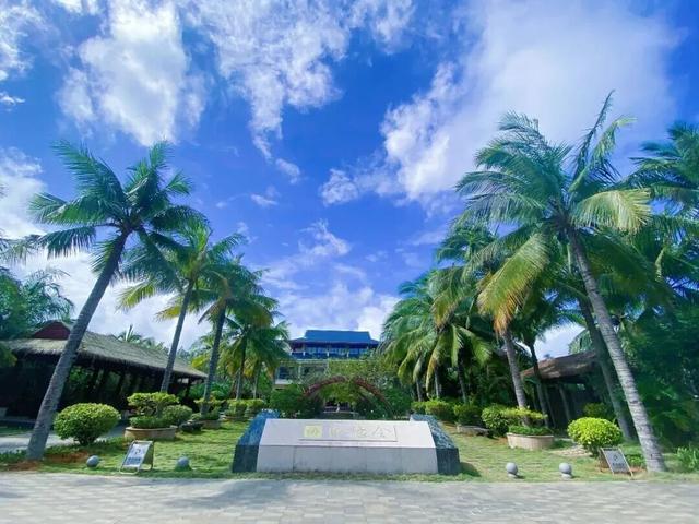 元旦游 | 来万宁，邂逅美丽乡村，开启新年第一场治愈之旅